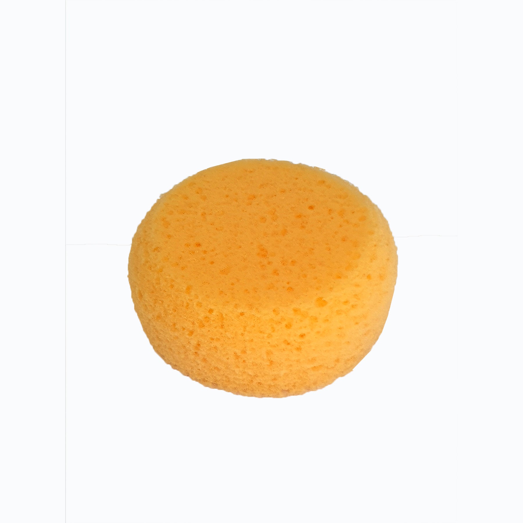 Round Back Sponge Sponge Round Synthetic Large – Keane Ceramics