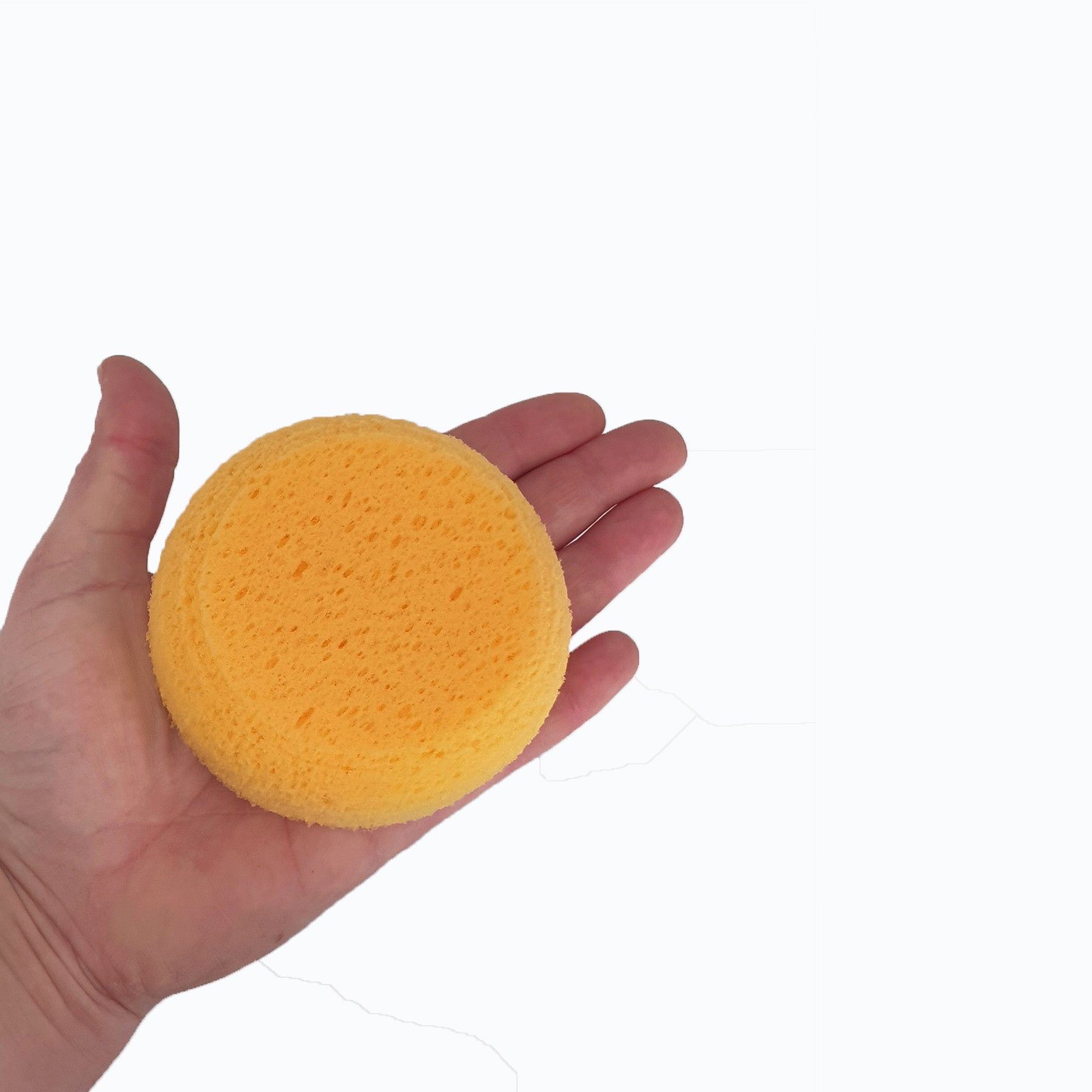 Round Back Sponge Sponge Round Synthetic Large – Keane Ceramics